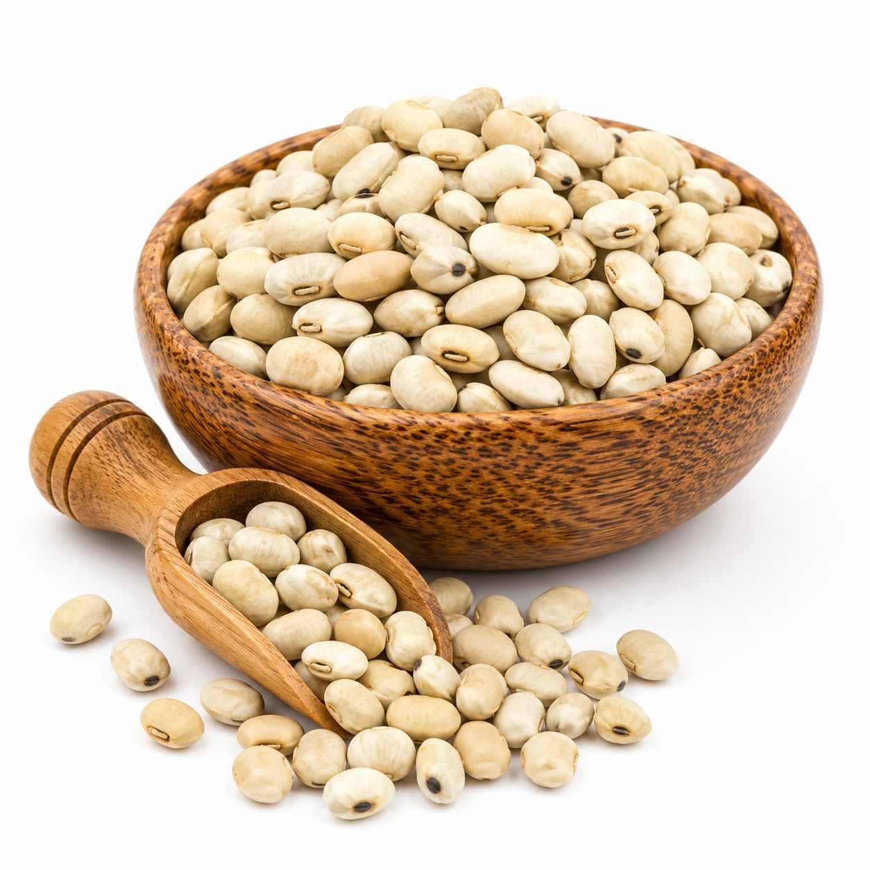 Premium kaunch seeds