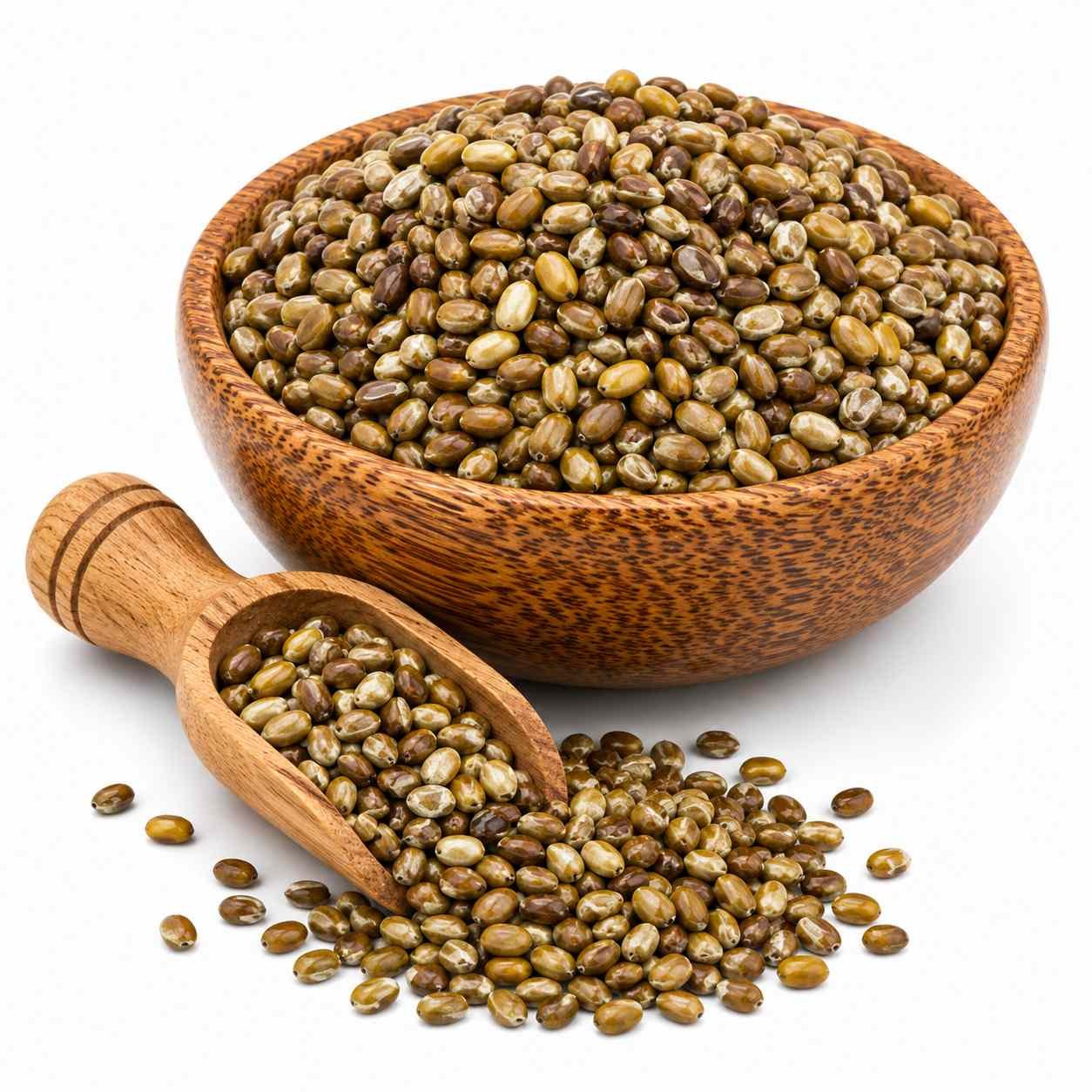 Premium Cassia Tora Seeds