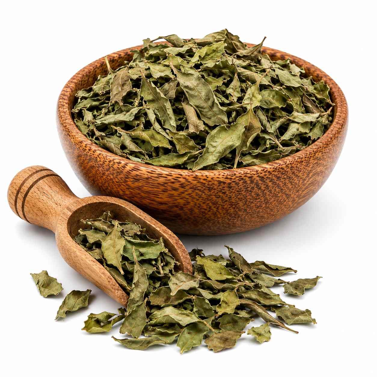 Dry Neem Leaves
