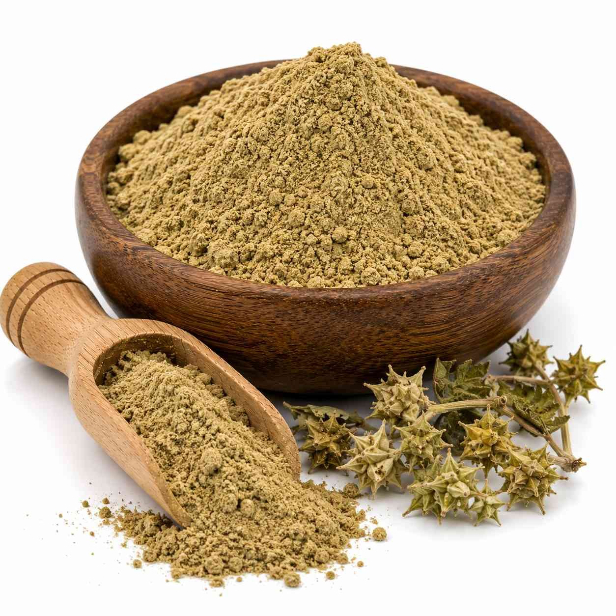 Gokhru Powder