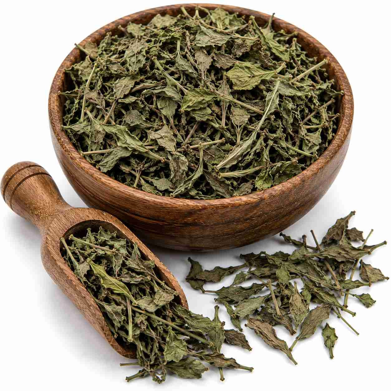 Kalmegh Dry Leaves