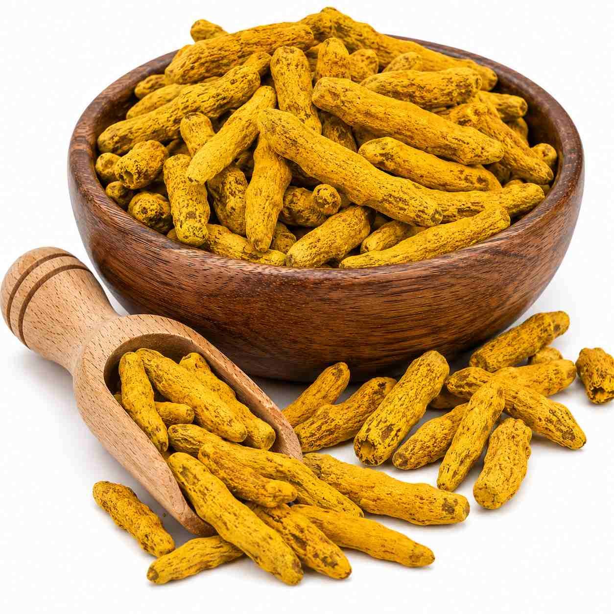 turmeric-curcuma-longa